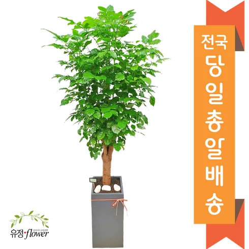 개업화분 이걸로 종결