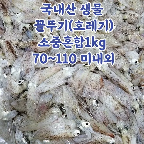 호래기회 잇템5