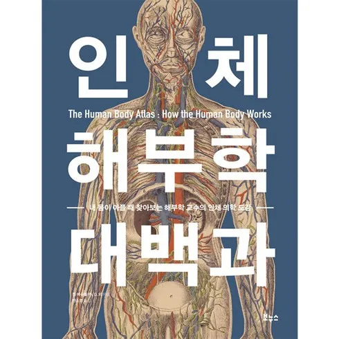 인체해부도 신상제품 핫템 모음