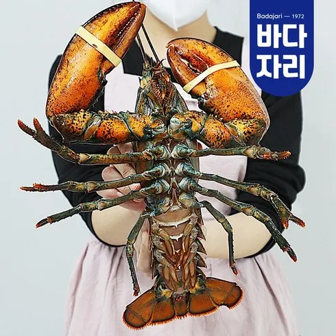 랍스타 할인 공유